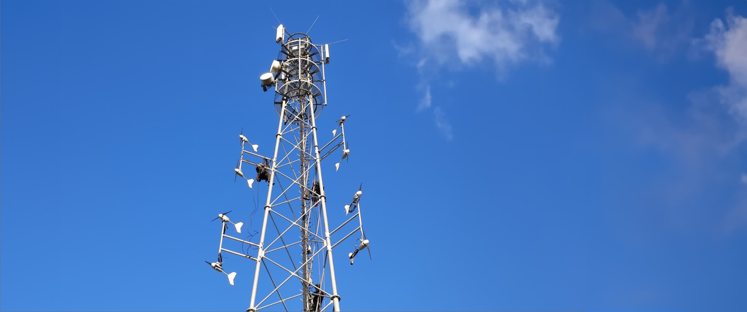 Delta and MOWEA Pioneering a Sustainable Future in with Micro